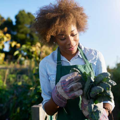 Websites for Landscapers and Gardeners | Business Websites