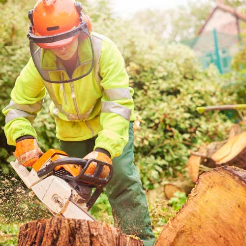 Website for Tree Surgeons | Business Websites