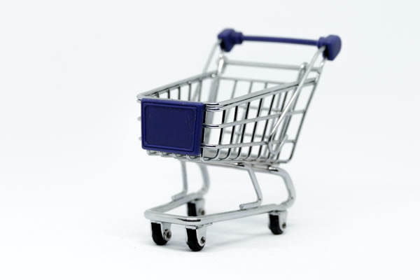 Selling on your website? E-commerce shopping cart facility